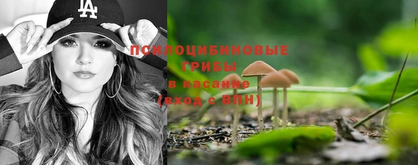 МДПВ Верхний Тагил