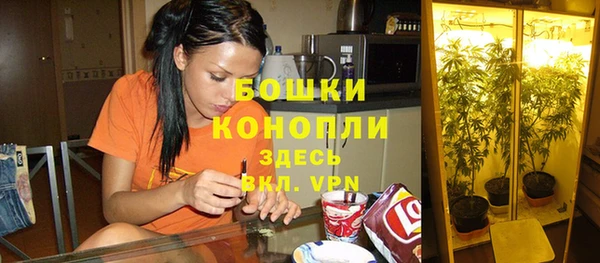 бошки Верея