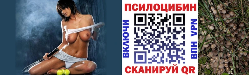Галлюциногенные грибы прущие грибы  Ахтырский 